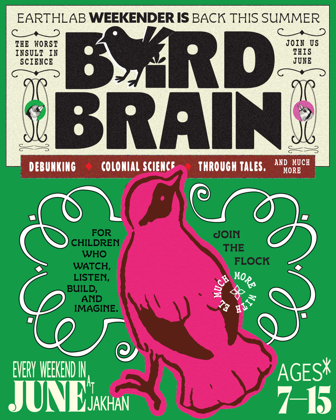 Bird Brain | Young Creators Summer Programme for Observers & Makers