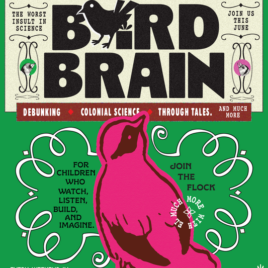 Promotional poster for 'Bird Brain' event with a pink bird illustration on a green background.