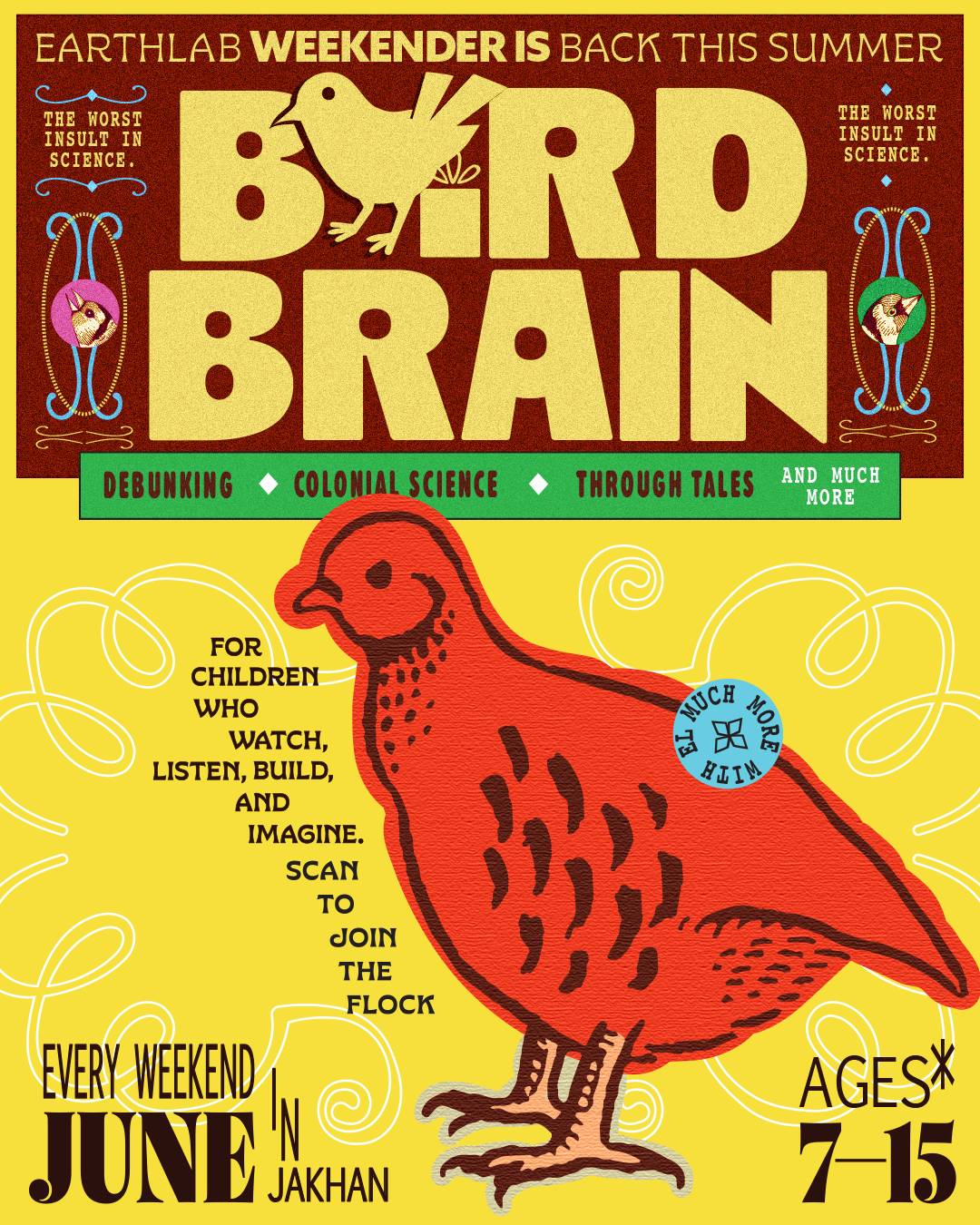 Bird Brain | Young Creators Summer Programme for Observers & Makers