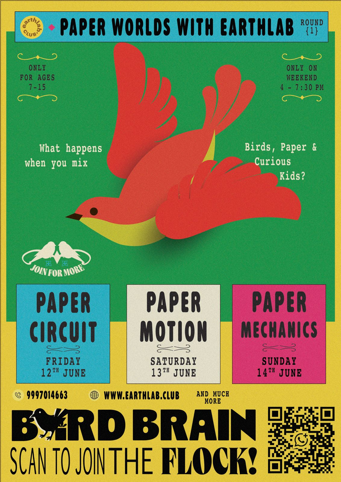Paper Worlds: Bird Brain | 12-14 June 2026